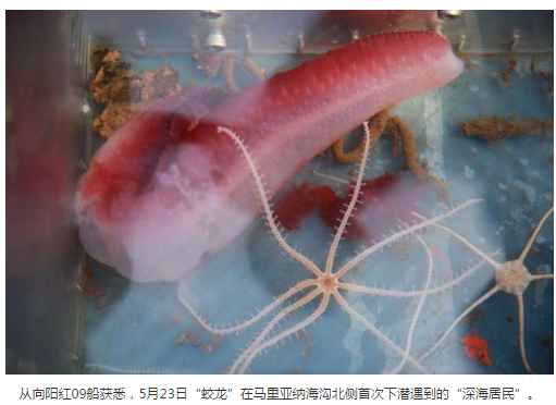 蛟龍號在馬里亞納海溝成功下水